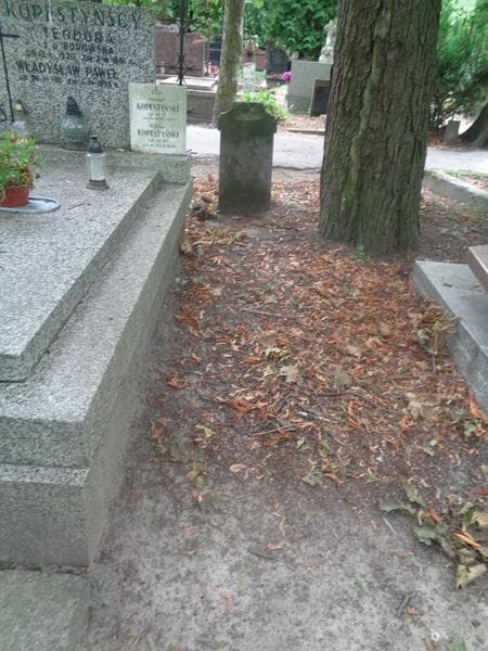 Zdjęcie grobu: Pole Grobowe