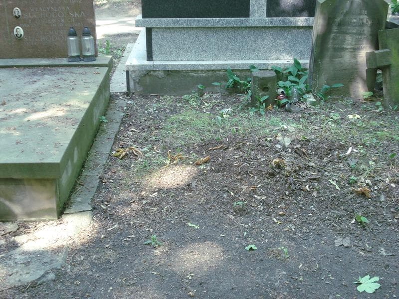 Zdjęcie grobu: Pole Grobowe