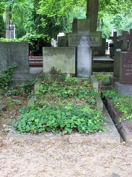 Zdjęcie grobu: Maria Dziewicka