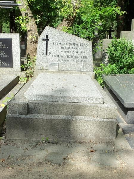 Zdjęcie grobu: Zygmunt Dziewiszek