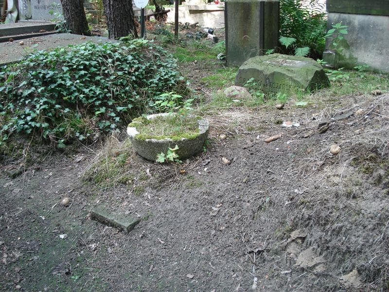 Zdjęcie grobu Józefa Lipkowska (1)