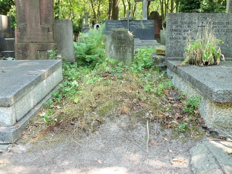 Zdjęcie grobu: Adrien Bidet