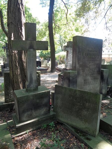 Zdjęcie grobu Józefa Kudelska (2)