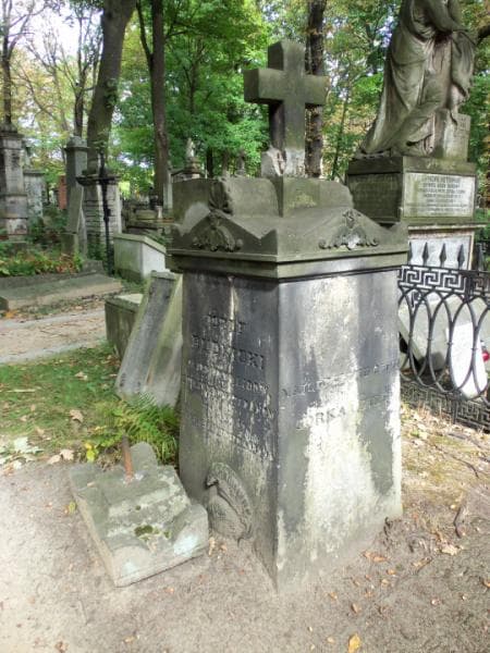 Zdjęcie grobu Józef Rudnicki (2)