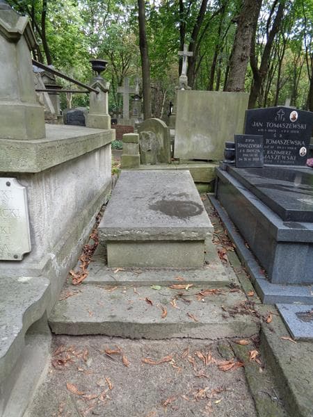 Zdjęcie grobu Irmina Wasilewska (1)