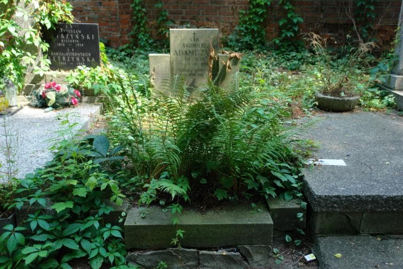 Zdjęcie grobu: Kazimierz Adamczyk