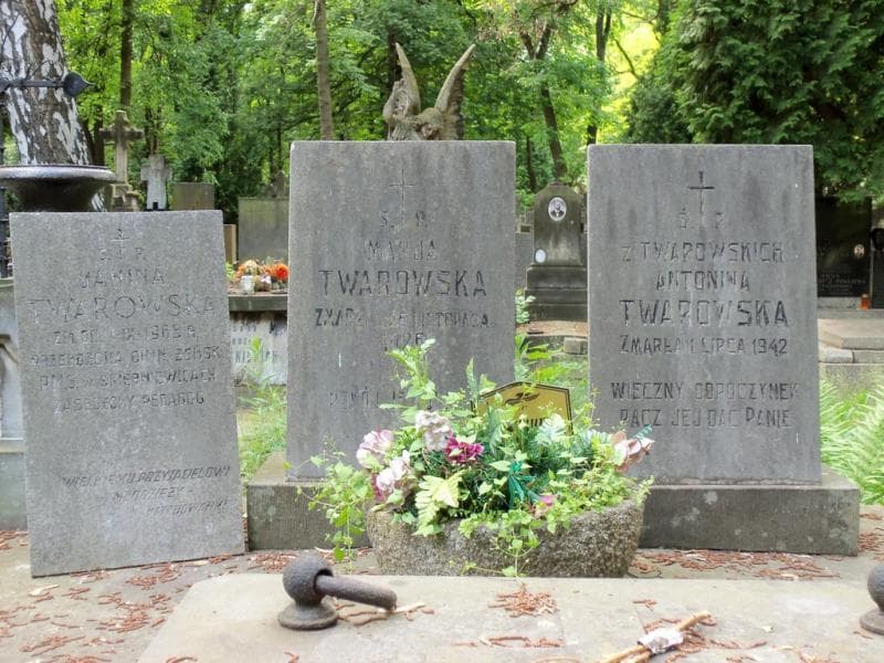 Zdjęcie grobu Zygmunt Twarowski (2)