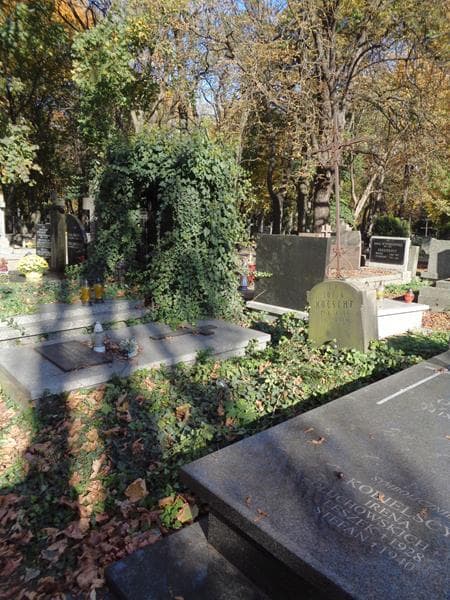 Zdjęcie grobu: Zofja Koesche