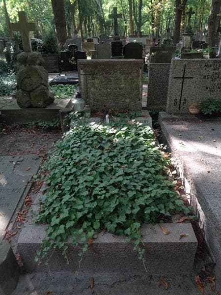 Zdjęcie grobu Zofia Bellert (1)