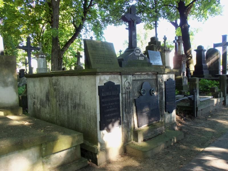 Zdjęcie grobu Halinka Bełza (1)