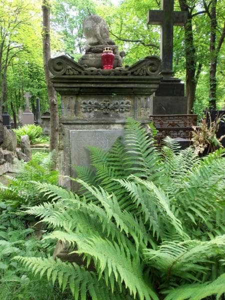 Zdjęcie grobu Jan Luboszczyński (2)