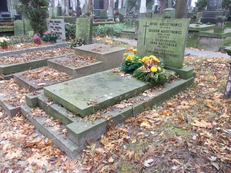 Zdjęcie grobu Aleksander Biedroński (1)
