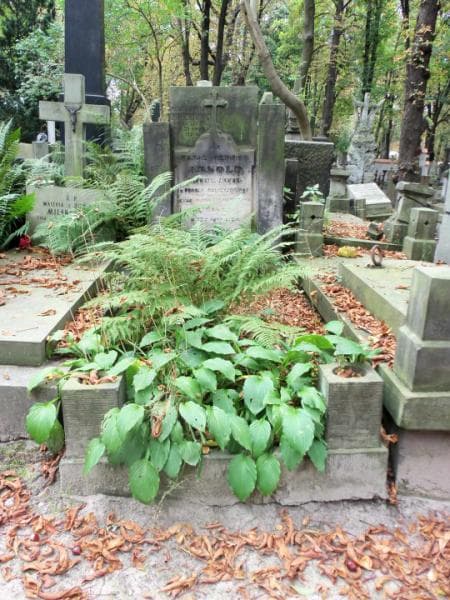 Zdjęcie grobu: Rafał Henryk Arnold