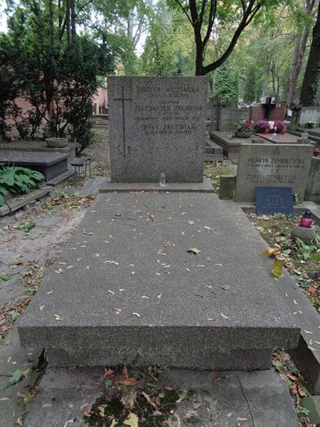 Zdjęcie grobu Aleksander Jakubiak (1)