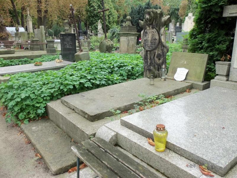 Zdjęcie grobu Henryk Buksicki (1)