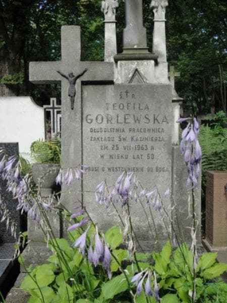 Zdjęcie grobu Teofila Gorlewska (2)