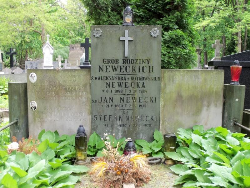 Zdjęcie grobu Adolf Niedźwiedzki (2)