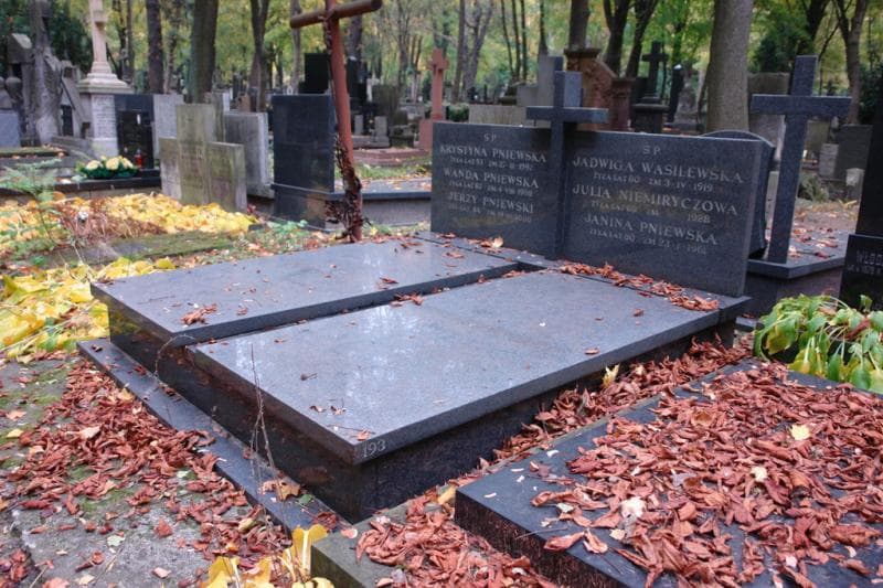 Zdjęcie grobu Janina Pniewska (1)