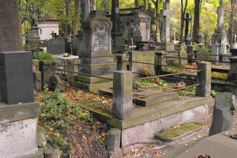Zdjęcie grobu Franciszek Tański (1)