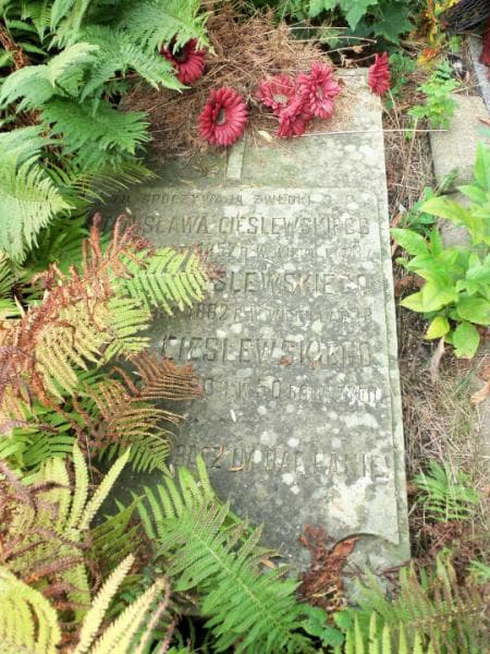 Zdjęcie grobu Stanisław Cieślewski (1)