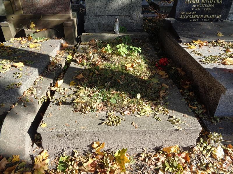 Zdjęcie grobu Henryk Jóźwik (1)