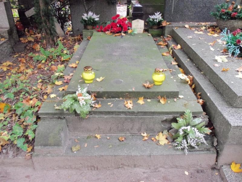 Zdjęcie grobu: Stanisław Michalski
