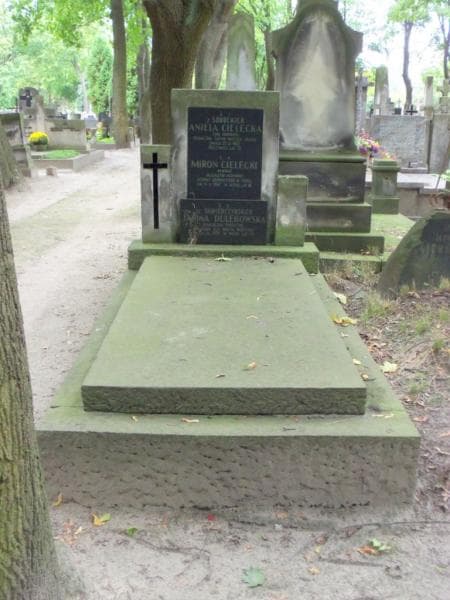 Zdjęcie grobu: Aniela Cielecka