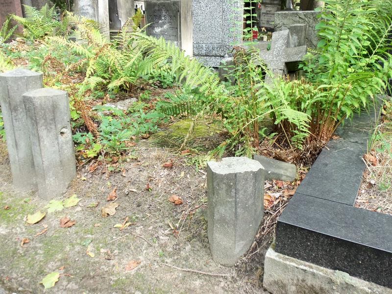 Zdjęcie grobu Jan Nepomucen Pierożyński (1)