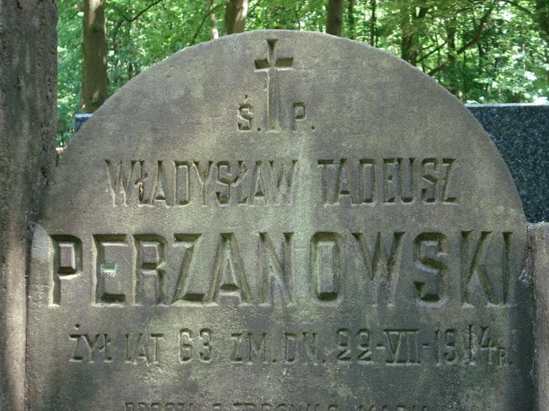 Zdjęcie grobu Władysław Tadeusz Perzanowski (1)