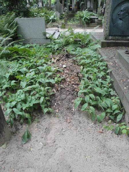 Zdjęcie grobu Pole Grobowe (1)
