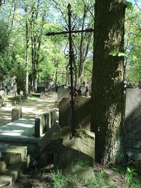 Zdjęcie grobu Wincenty Krzemiński (1)