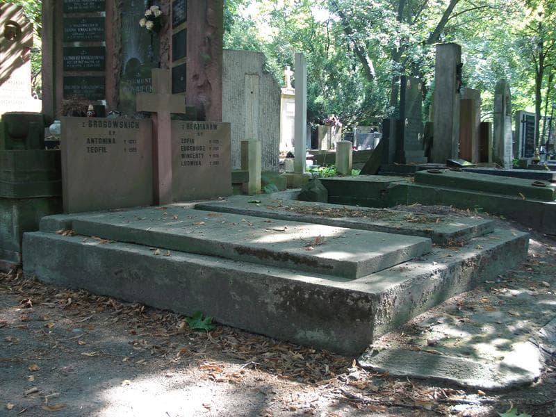Zdjęcie grobu Eugeniusz Herman (1)