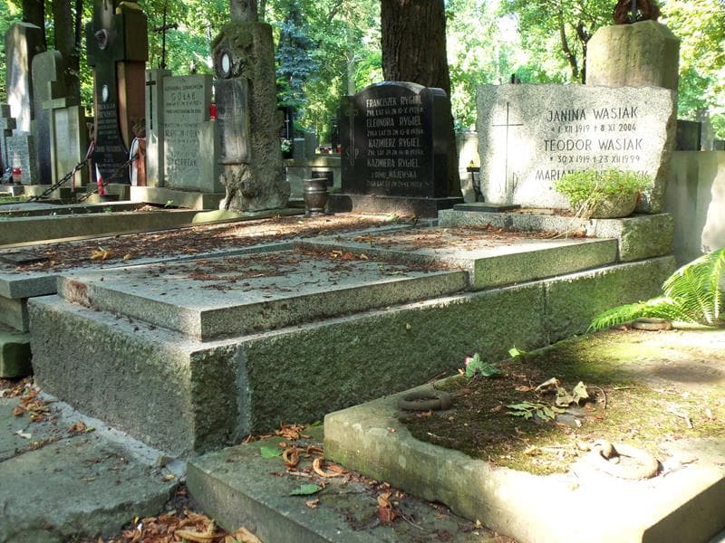 Zdjęcie grobu Teodor Wasiak (1)