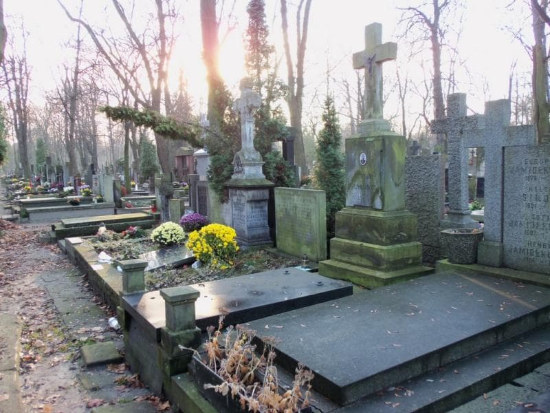 Zdjęcie grobu Wiktor Janczewski (1)