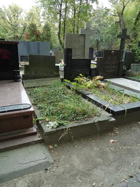 Zdjęcie grobu Julia Bulikowska (2)