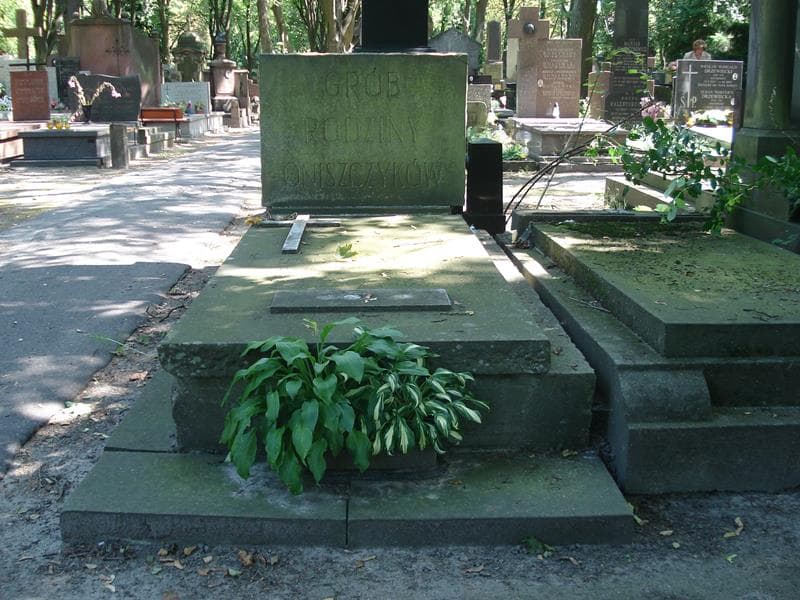 Zdjęcie grobu: Aleksander Oniszczyk