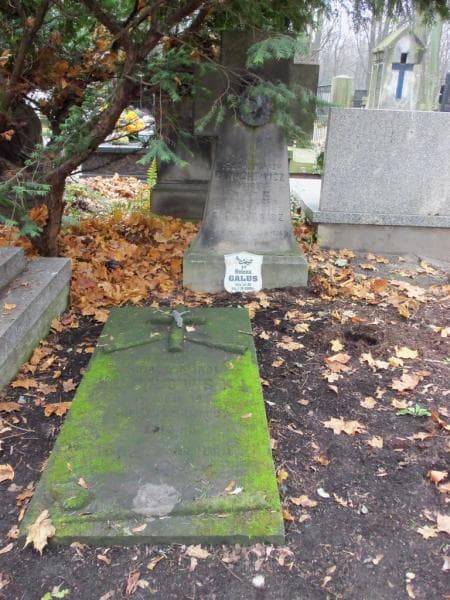 Zdjęcie grobu Karol Żuchowski (2)