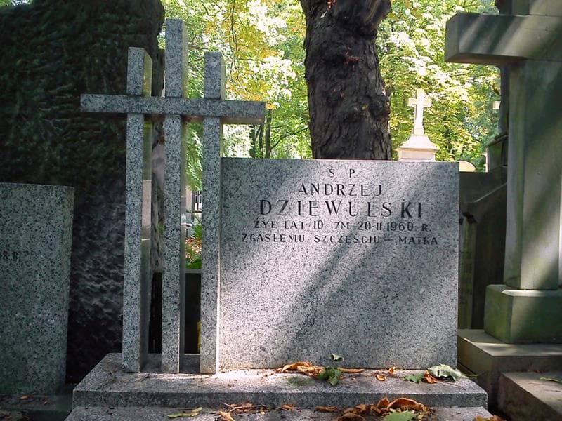 Zdjęcie grobu Andrzej Dziewulski (2)