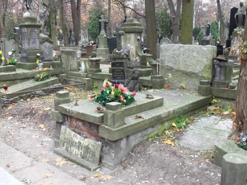 Zdjęcie grobu Arciszewscy (1)