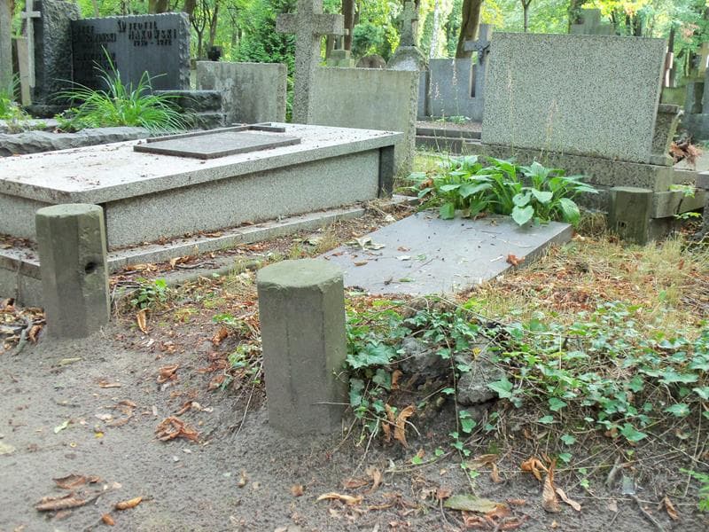 Zdjęcie grobu Józef Czapski (1)