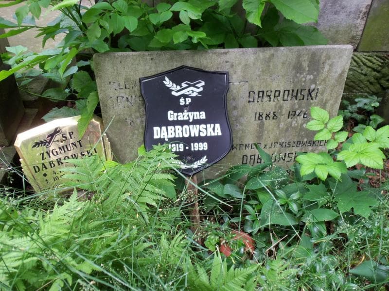 Zdjęcie grobu Wanda Dąbrowska (2)