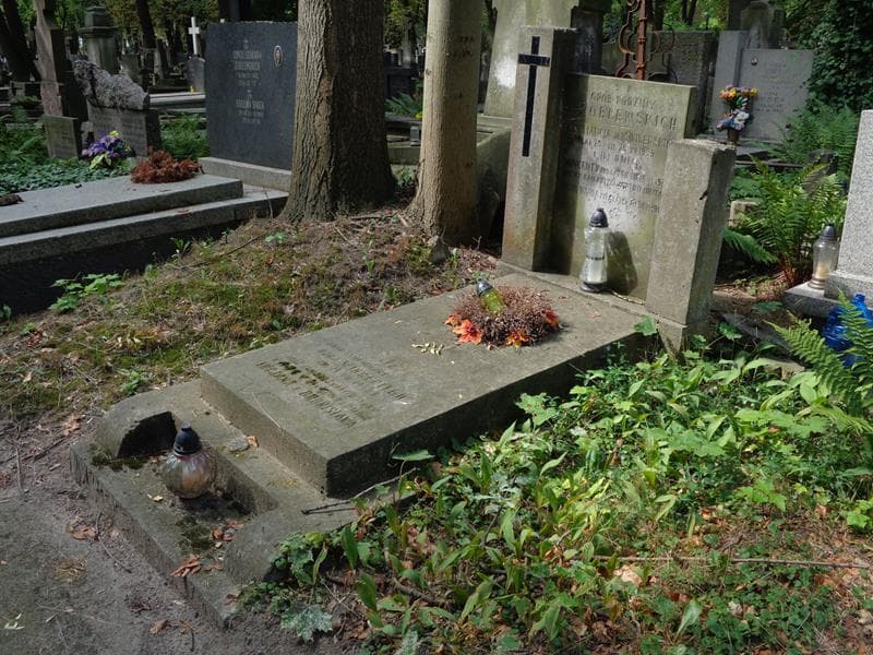 Zdjęcie grobu: Wincenty Wróblewski