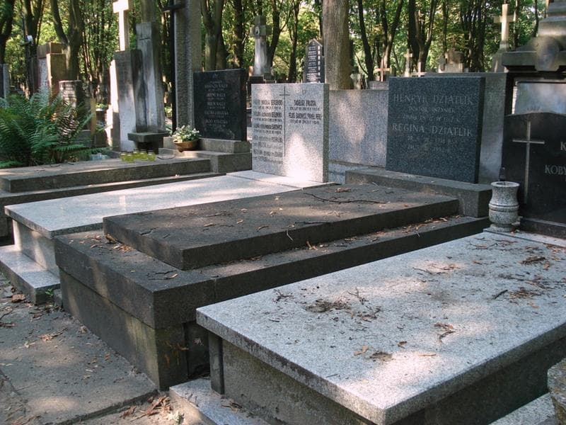 Zdjęcie grobu: Henryk Dziatlik