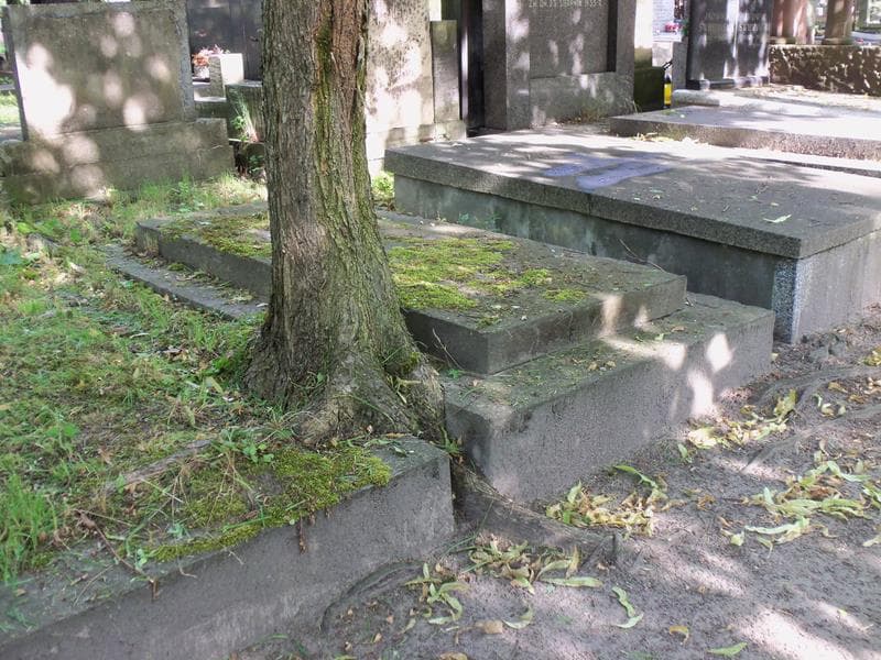 Zdjęcie grobu Wacław Krynkowski (1)