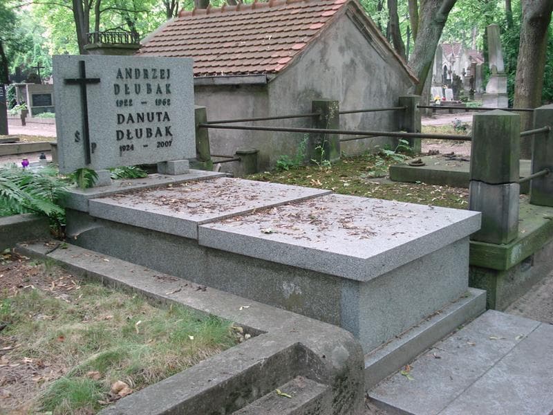 Zdjęcie grobu: Andrzej Dłubak