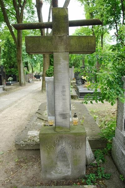 Zdjęcie grobu Maria Rybak (2)