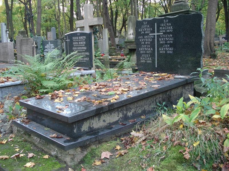 Zdjęcie grobu Zofia Kryńska (1)