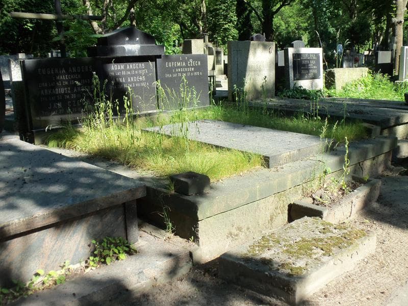Zdjęcie grobu Anna Anders (1)
