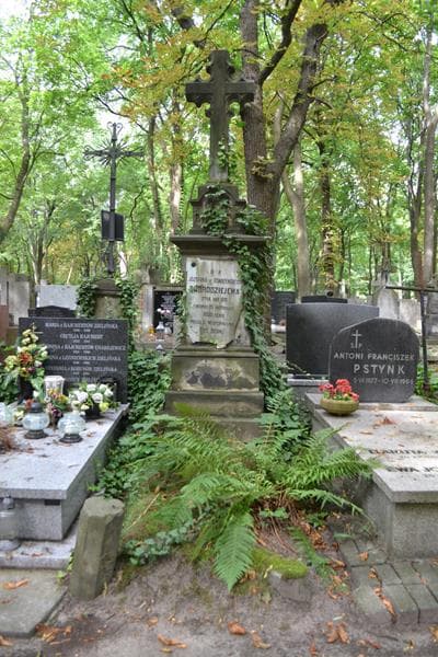 Zdjęcie grobu Józefina Dobrodziejewa (1)