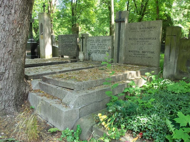 Zdjęcie grobu Józef Malanowski (1)